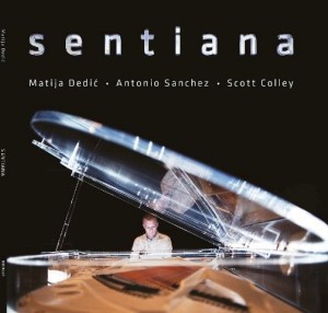 Matija Dedic - Sentiana